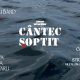 cantec soptit la Reghin